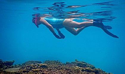 5 Champagne Beach Reef (30) - Copy