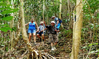 coral-expeditions-gam-rainforest-walk