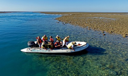 coral-expeditions-montgomery-reef-doubtful-bay