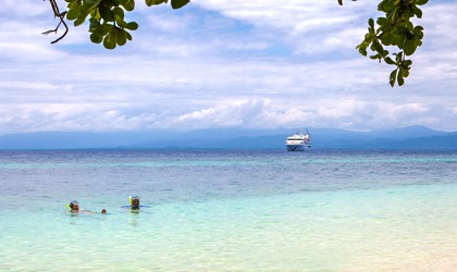 coral-expeditions-spice-islands-papaya-island