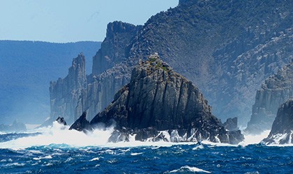 coral-expeditons-d9-tasman-island