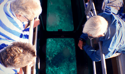 Glass Bottom Boat Coral Viewing