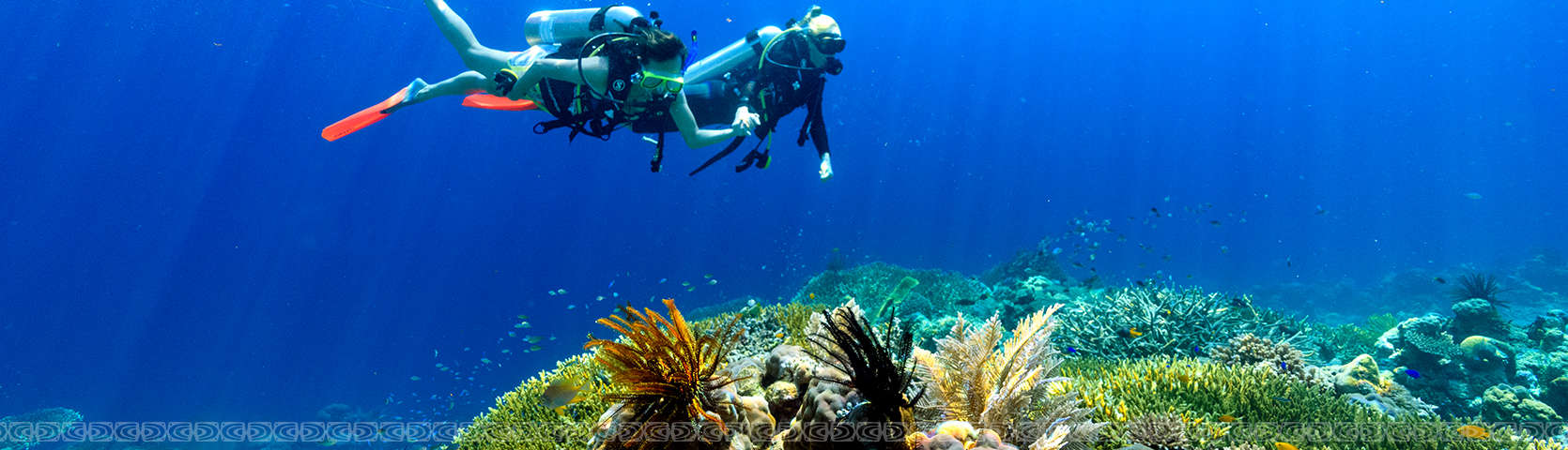 Dive South Pacific