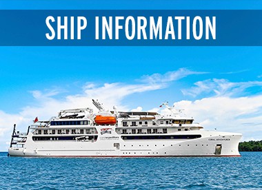 Ship Information