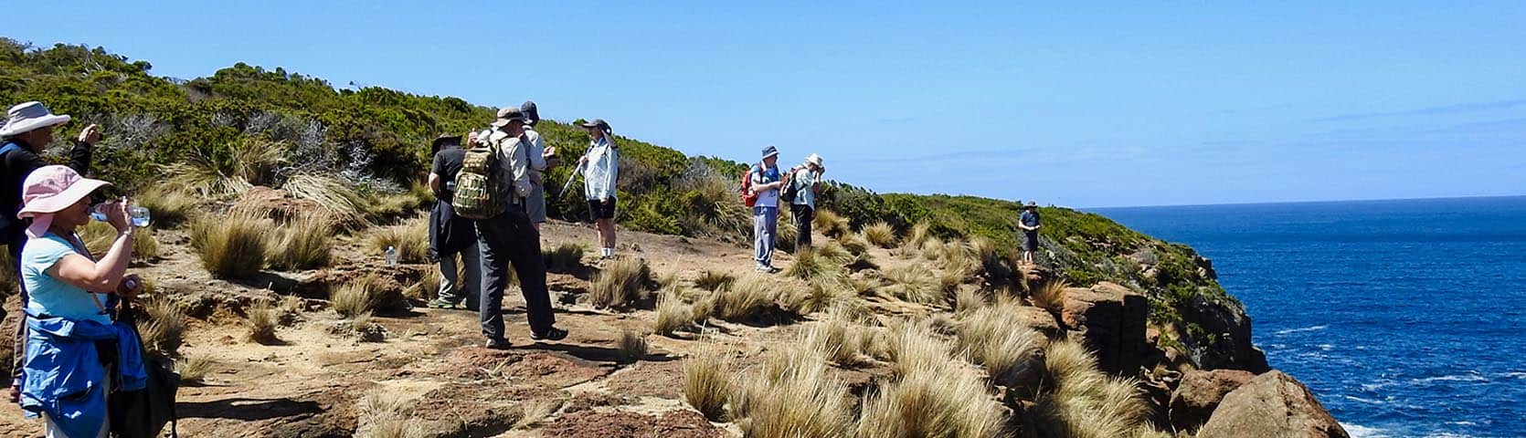 Coastal Treks Of Tasmania