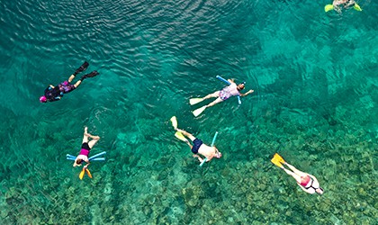 Snorkelling Reef with Coral Expeditions