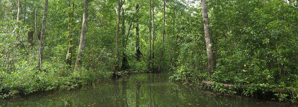 Day 8 - Morobe Harbour Cruise