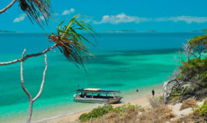 Torres Strait Coral Expeditions