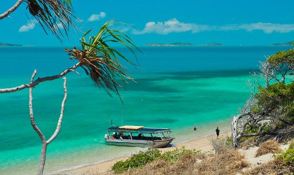 Torres Strait Coral Expeditions