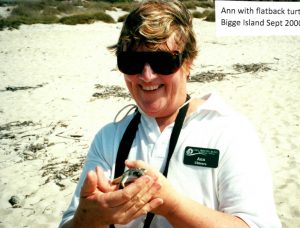 Ann with a Flatback Turtle Hatchling