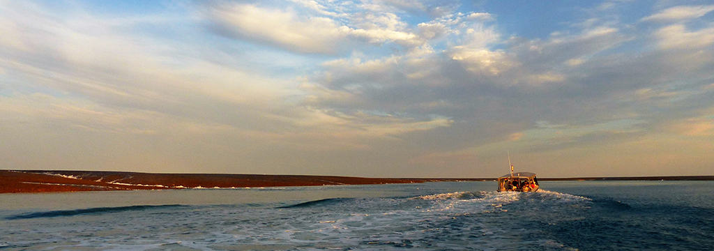 Montgomery Reef Scenery