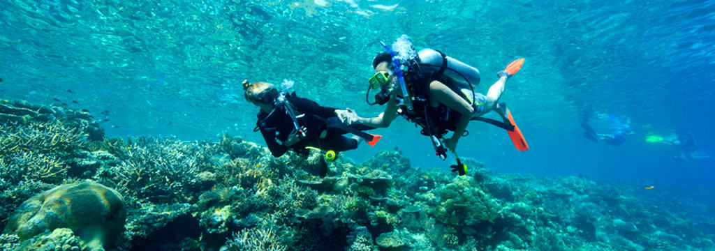 Rowley Shoals Marine Life