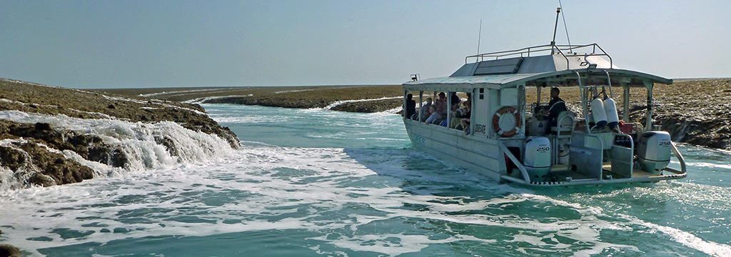 Xplorer at Montgomery Reef