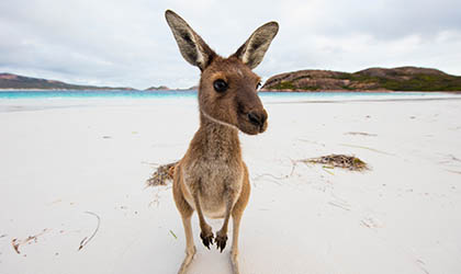Lucky Bay, Cape le Grand National Park, WA