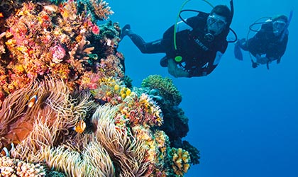 Osprey Reef Diving Coral Expeditions Northern Australia