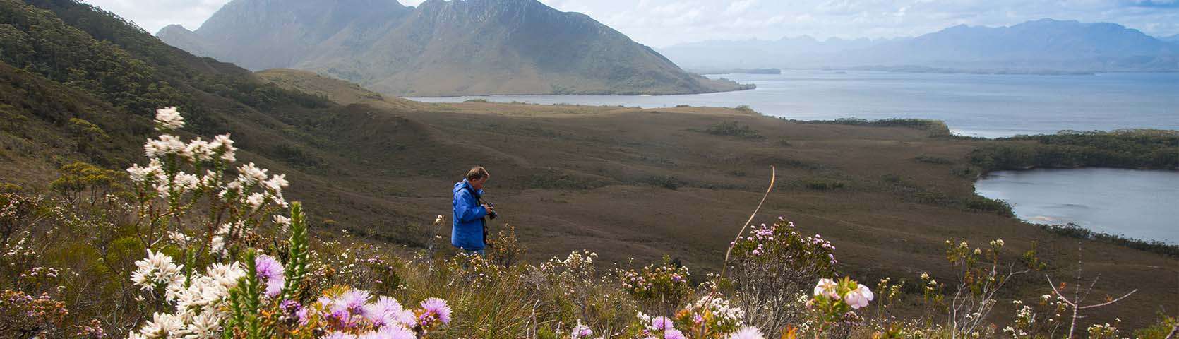 Coastal Wilds of Tasmania