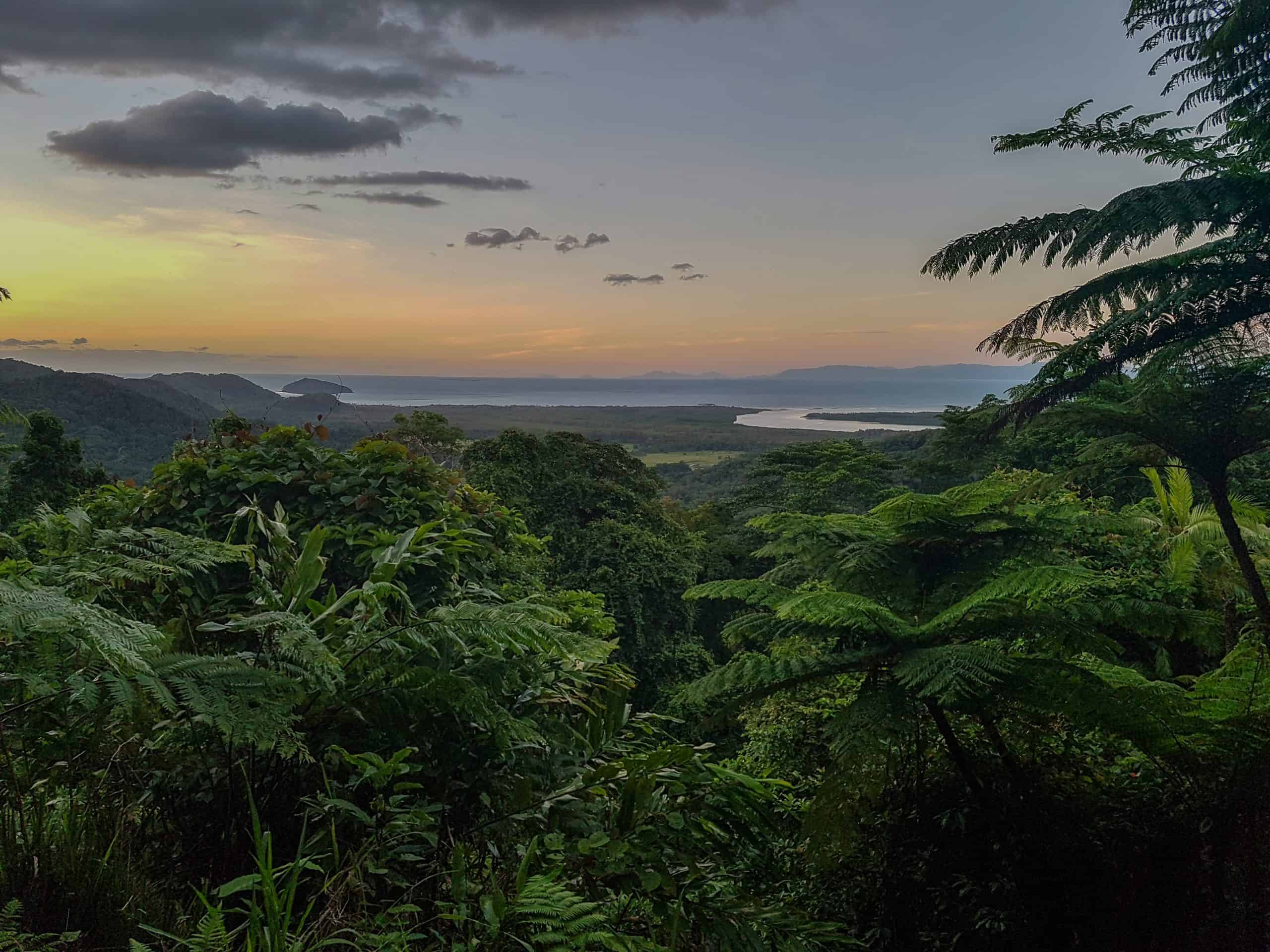 Alexandra Lookout Daintree. Tourism Tropical North Queensland.