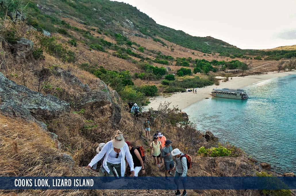 COOKS LOOK, LIZARD ISLAND