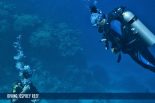 DIVING, OSPREY REEF