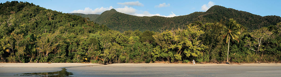 Daintree Rainforest Darren Jew