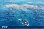 OSPREY REEF