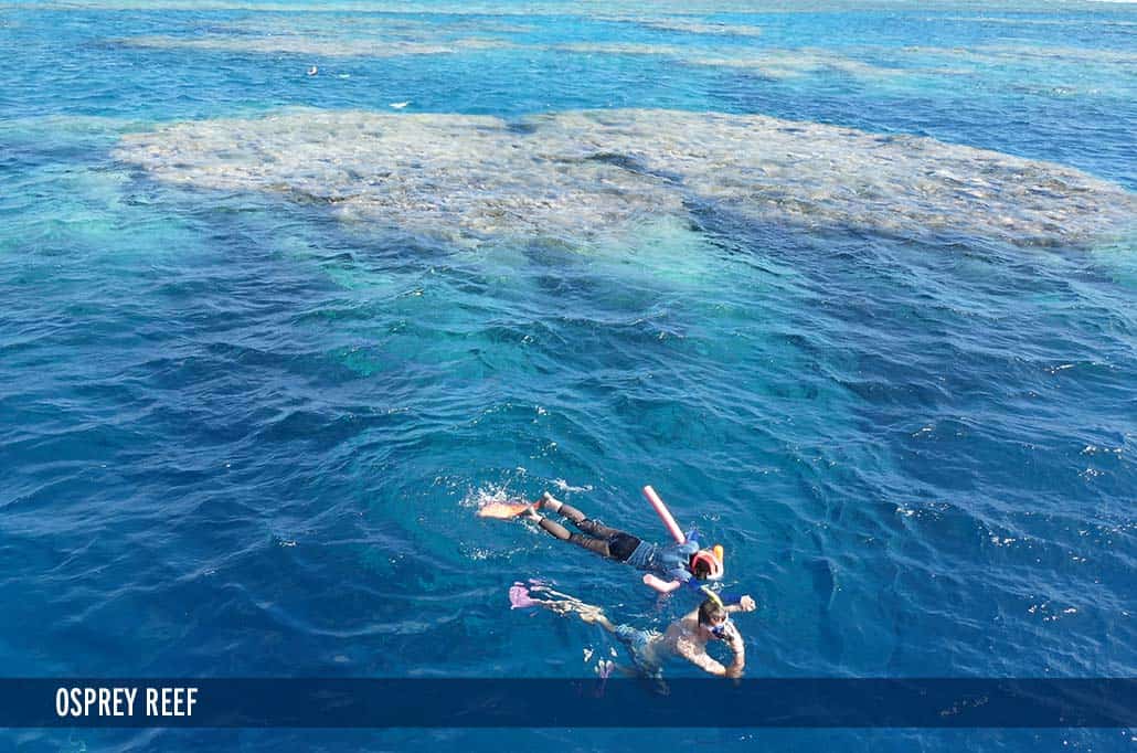 OSPREY REEF
