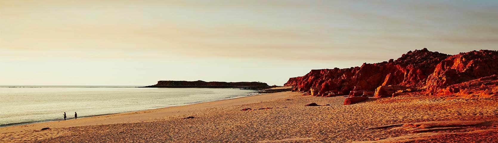 Shark Bay Coral Expeditions