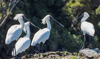 Stewart Island New Zealand expedition