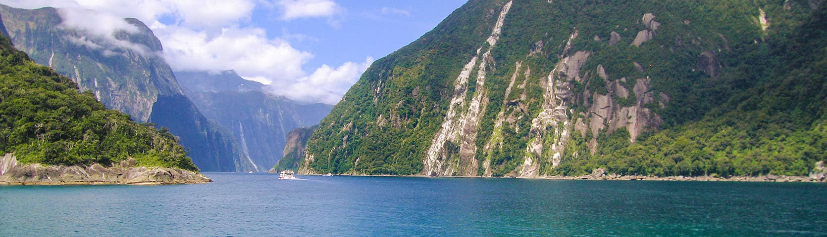 New Zealand Coral Expeditions