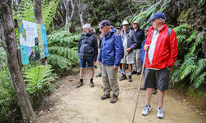 Marlborough Sounds Coral Expeditions