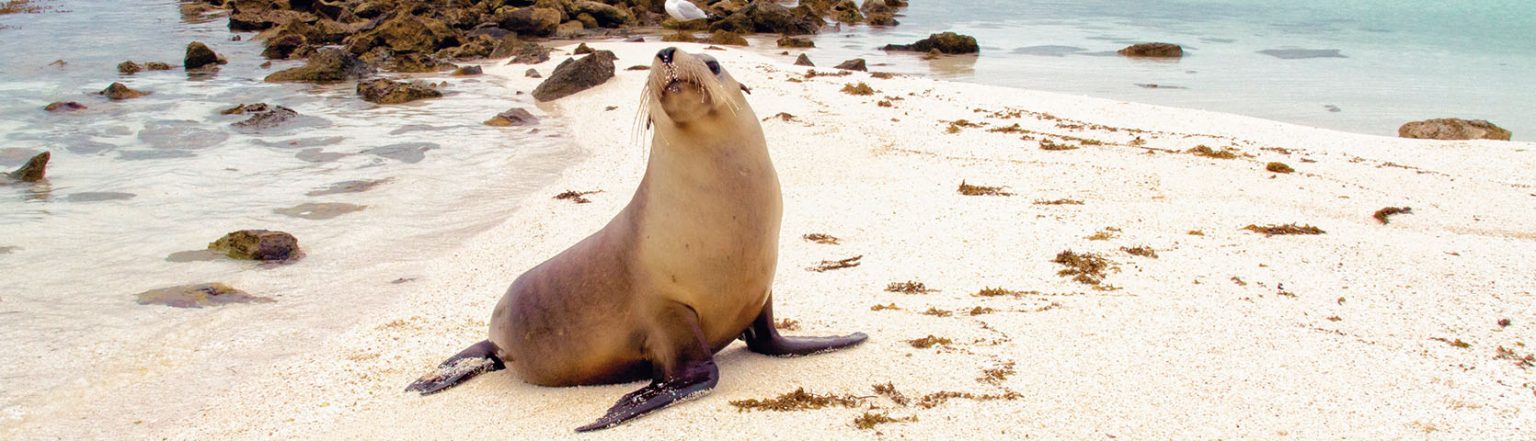 Abrolhos Islands & the Coral Coast - Fremantle - Broome