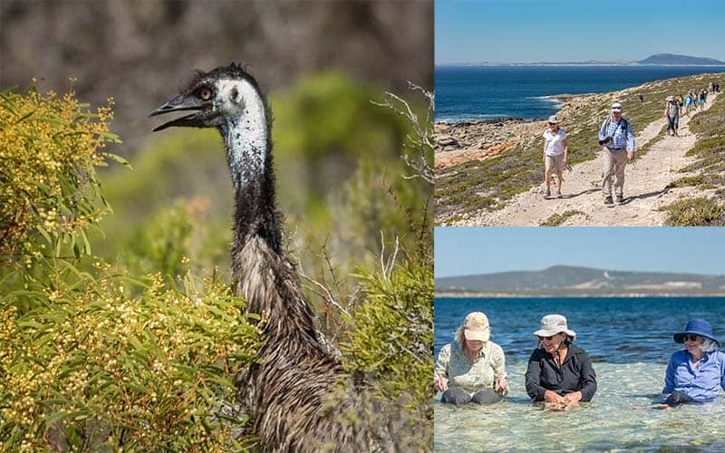 Cape Donington South Australia