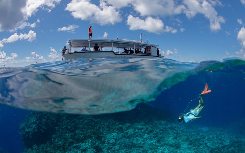 Holmes Reef