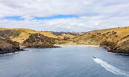 Kangaroo Island Western River Cove