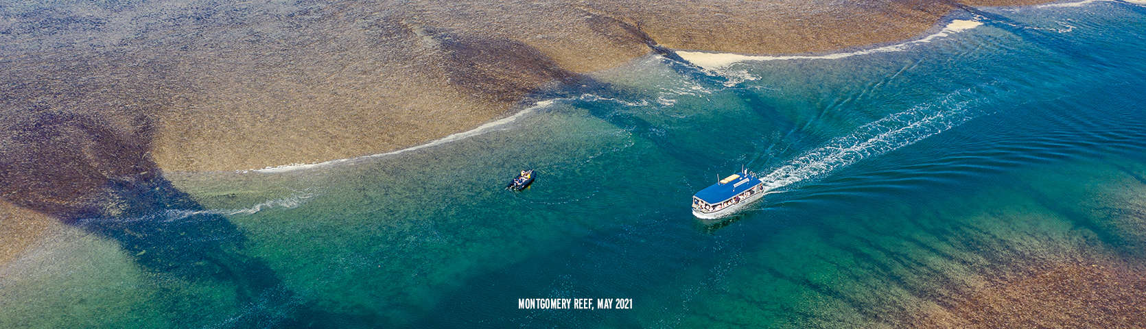 Montgomery Reef with Coral Expeditions May 2021