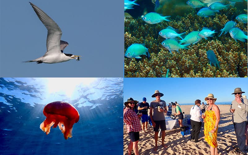 Ningaloo Voyage Log - Murion Islands