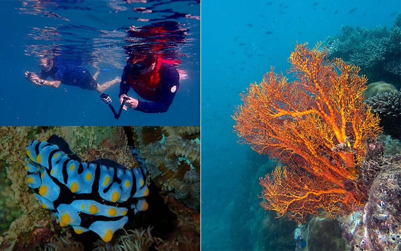 Ningaloo Voyage Log - Serrurier Island