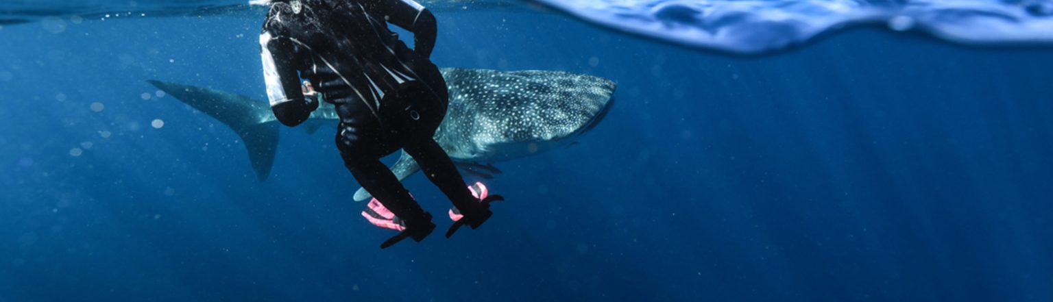 Ningaloo Voyage Log