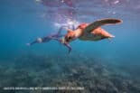 Guests-snorkelling-with-Green-Sea-Turtle-Mackay-Reef-2020