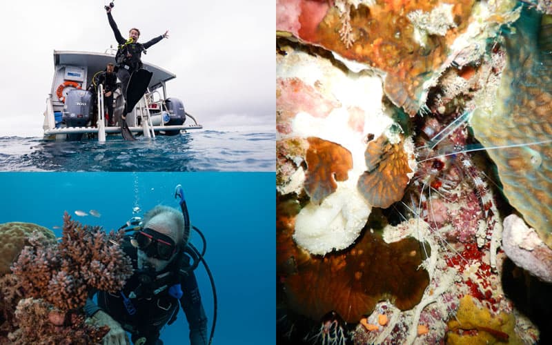 Ribbon Reef No9 Day 7 - Citizen Science Voyage