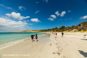 Antechamber Bay Cruise