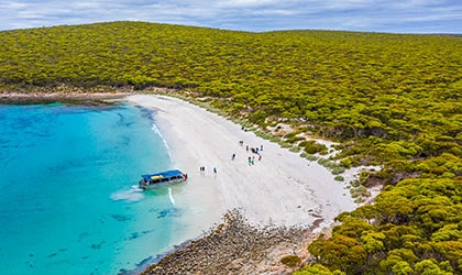 Memory-Cove-South-Australia-Coral-Expeditions