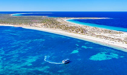 Reevesby-Island-South-Australia-Coral-Expeditions