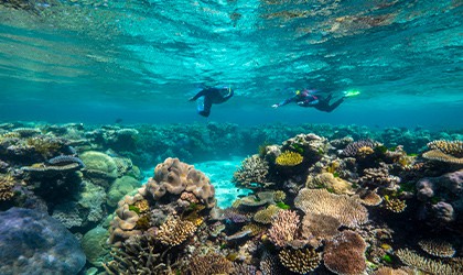 Mackay-Reef-Coral-Expeditions-Cruise