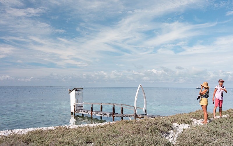 Day 11 - Houtman Abrolhos Islands - Easter and Pelsaert Groups