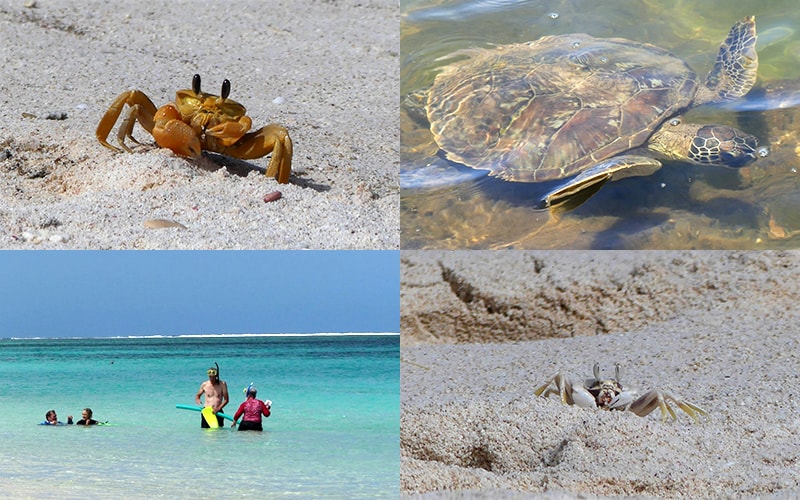 Day 6 - Ningaloo Reef