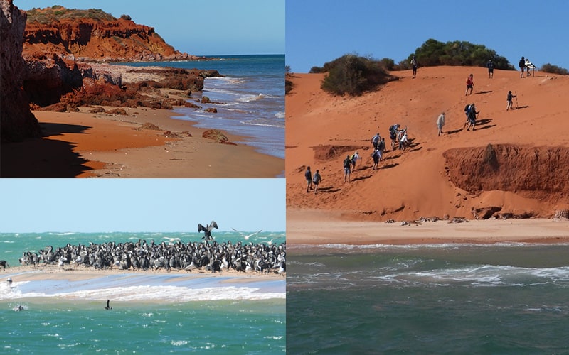 Day 8 - Shark Bay – Cape Peron