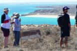 Trimouille Island - Abrolhos