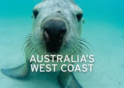 West-Coast-Cruises