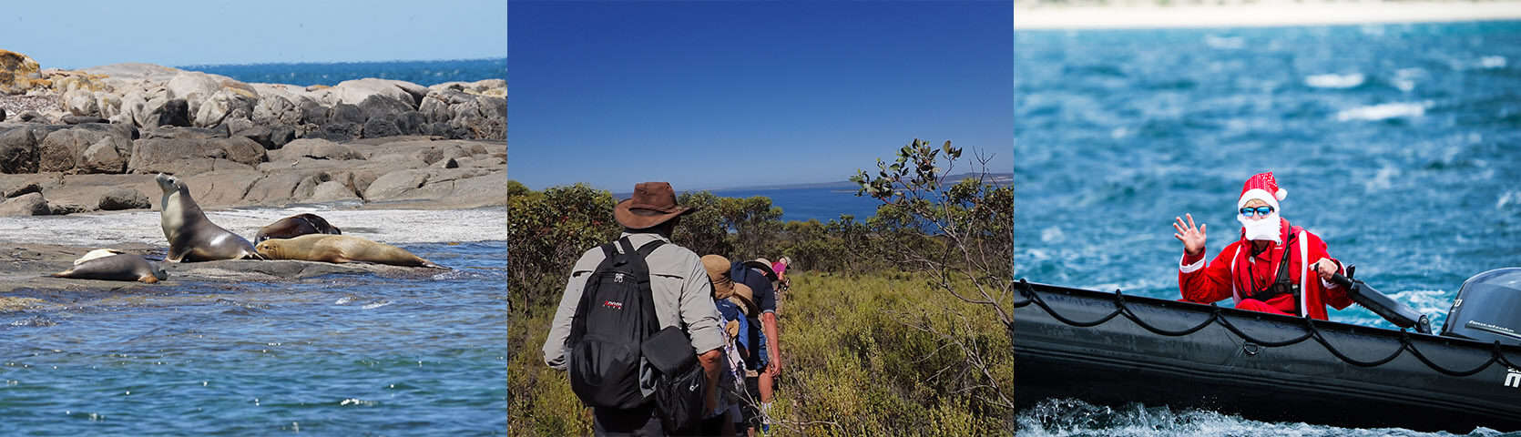 Christmas Expedition - Wild Islands of South Australia